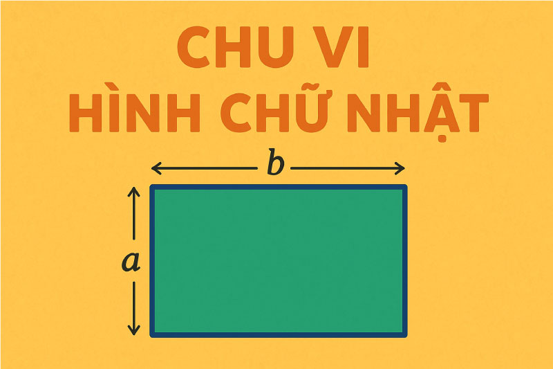tính chu vi hình chữ nhật